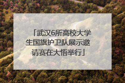 武汉6所高校大学生国旗护卫队展示邀请赛在大悟举行